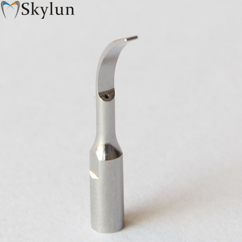 10 個歯科用超音波スケーラーチップ GD2 真新しい歯科用 - Dental Ultrasonic Scaler のレビューと価格