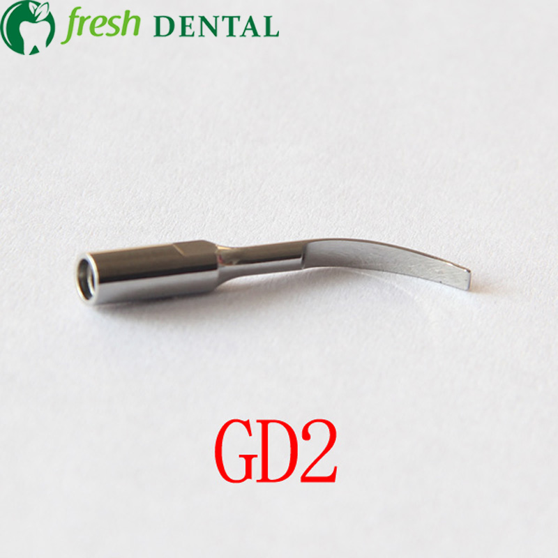 10 個歯科用超音波スケーラーチップ GD2 真新しい歯科用 - Dental Ultrasonic Scaler のレビューと価格