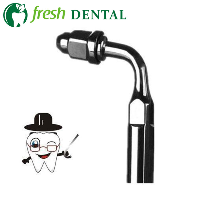 10個入り E2チップ 95度 デンタルスケーラーチップ E - Dental Ultrasonic Scaler のレビューと価格