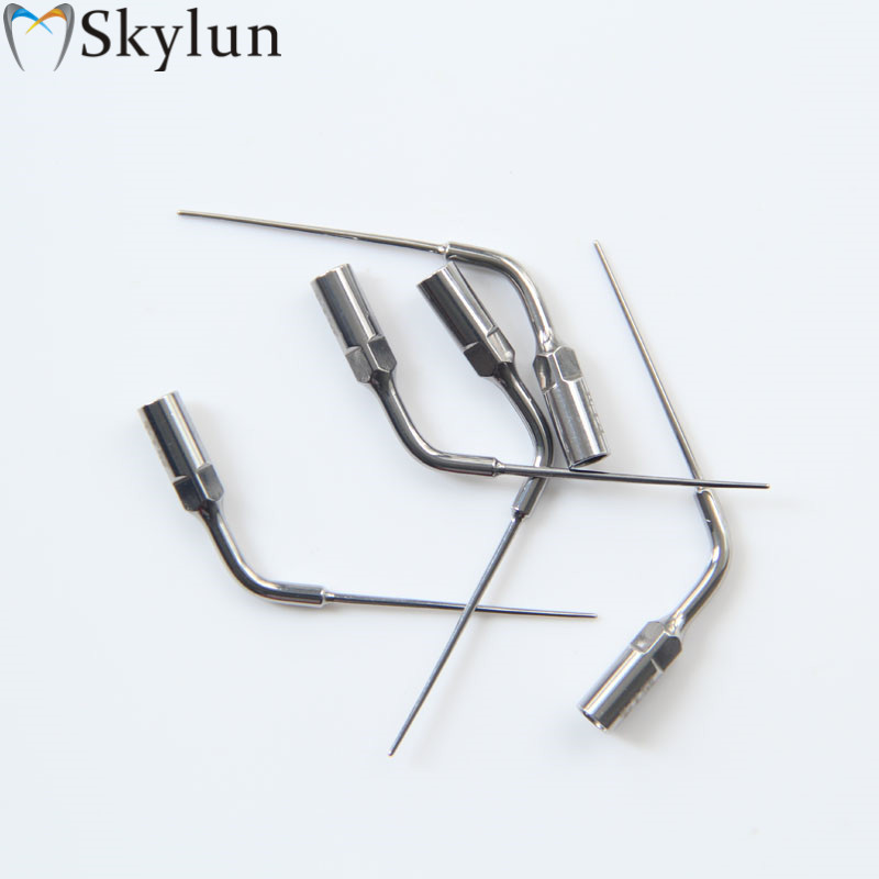 5個入り 歯科用超音波スケーラーチップ E14 歯のホワイト - Dental Ultrasonic Scaler のレビューと価格