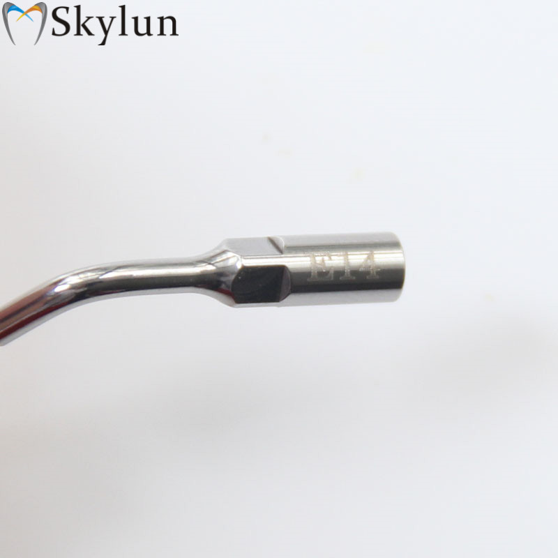 5個入り 歯科用超音波スケーラーチップ E14 歯のホワイト - Dental Ultrasonic Scaler のレビューと価格