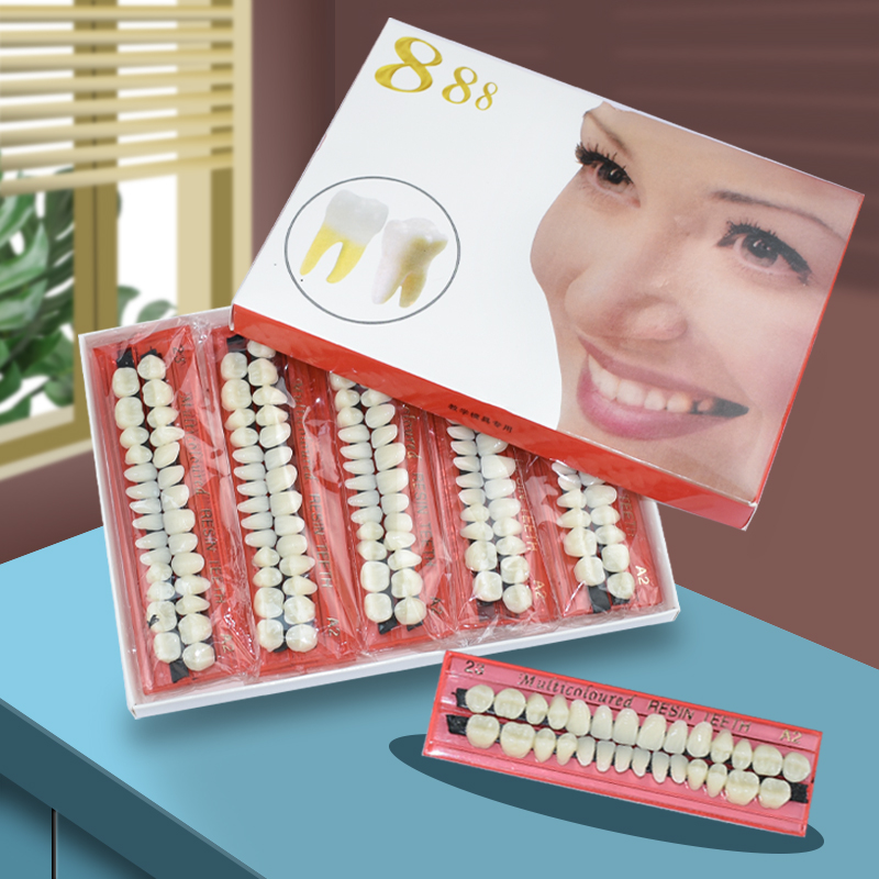 28 歯歯科用樹脂義歯セット 3D シェードガイドカラーコン - Dental 3D Printer Resin のレビューと価格