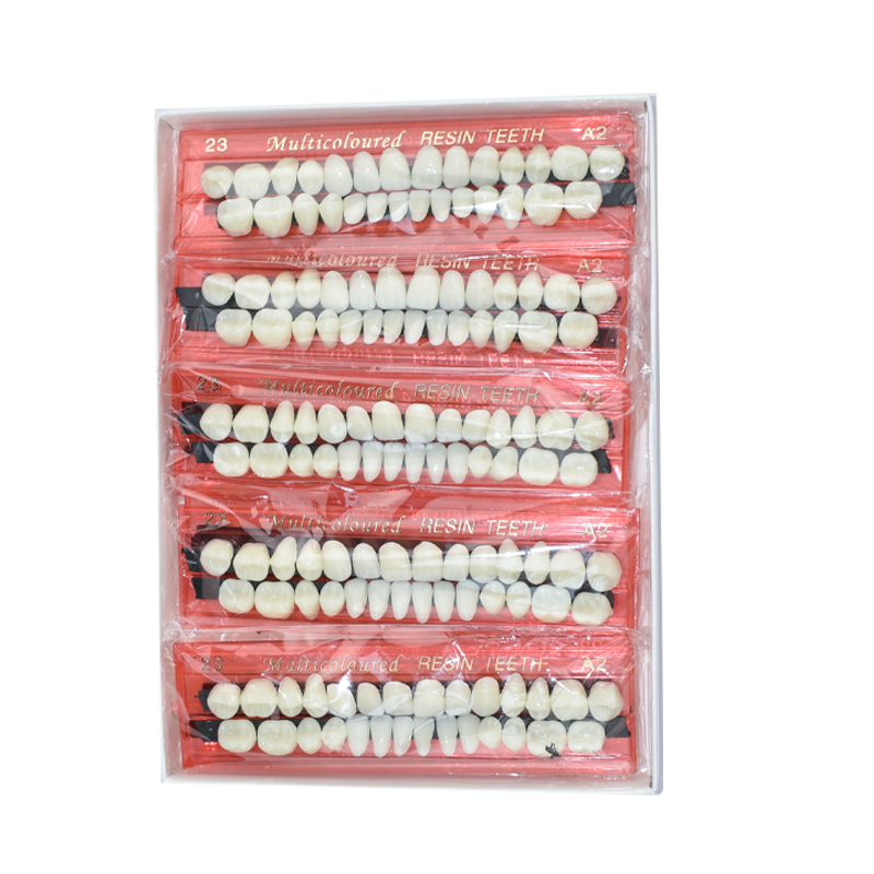 28 歯歯科用樹脂義歯セット 3D シェードガイドカラーコン - Dental 3D Printer Resin のレビューと価格