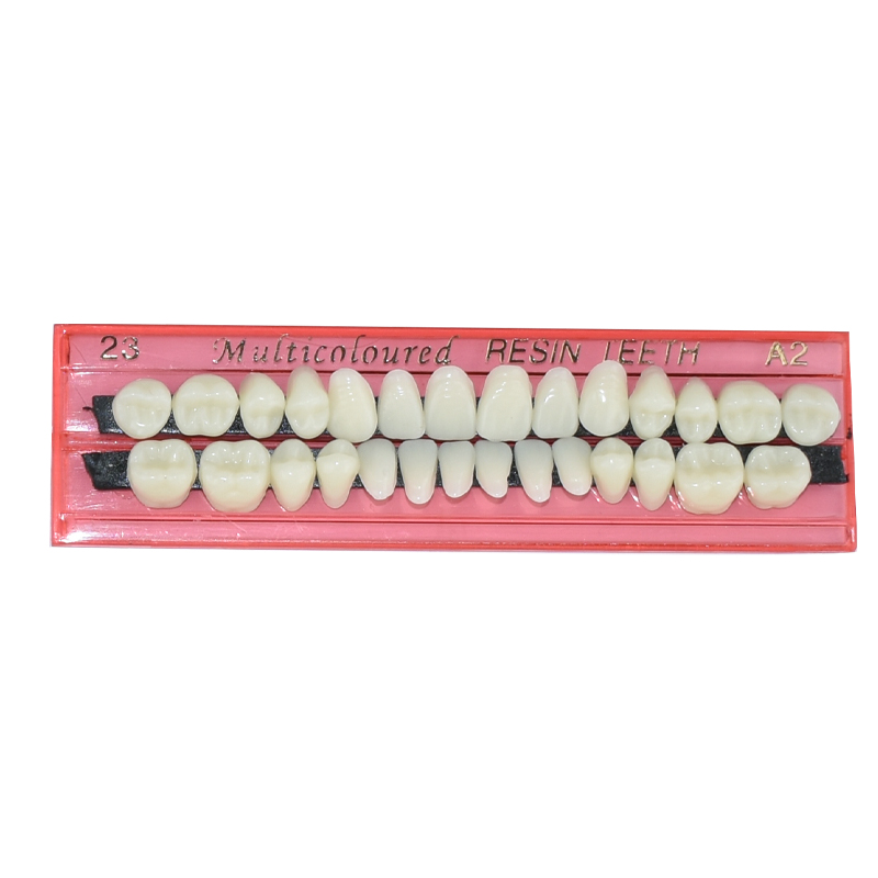 28 歯歯科用樹脂義歯セット 3D シェードガイドカラーコン - Dental 3D Printer Resin のレビューと価格
