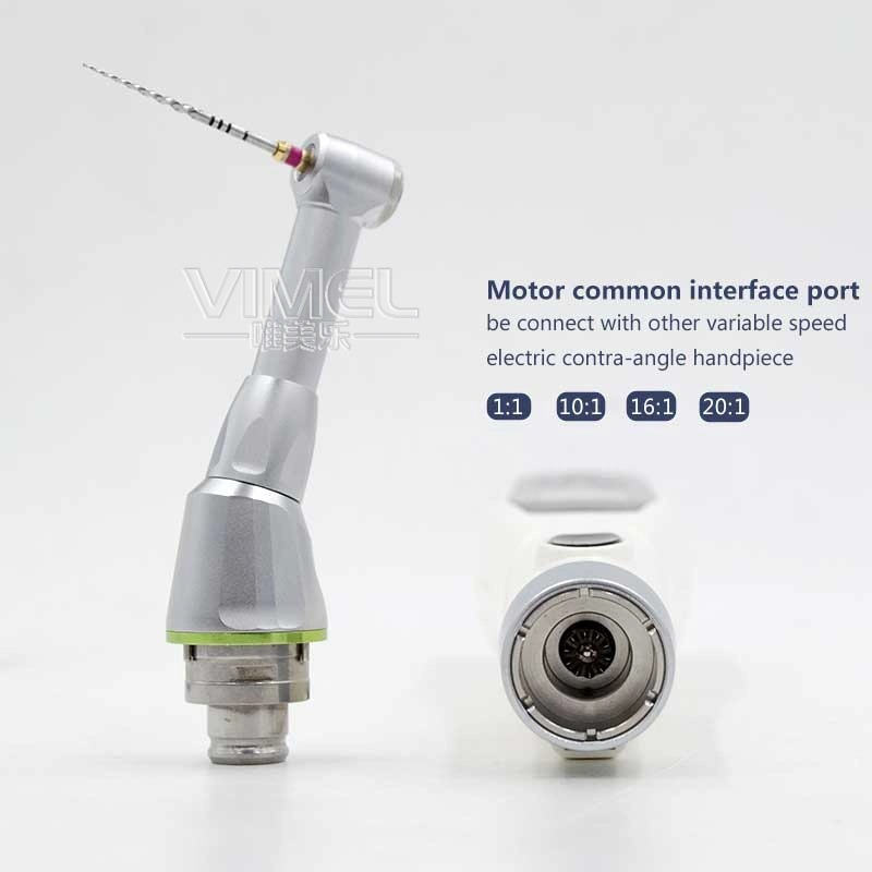 歯科用根尖ロケーター、根管治療用エンドモーター、LED、16 - Dental Endo Motor Apex Locator のレビューと価格