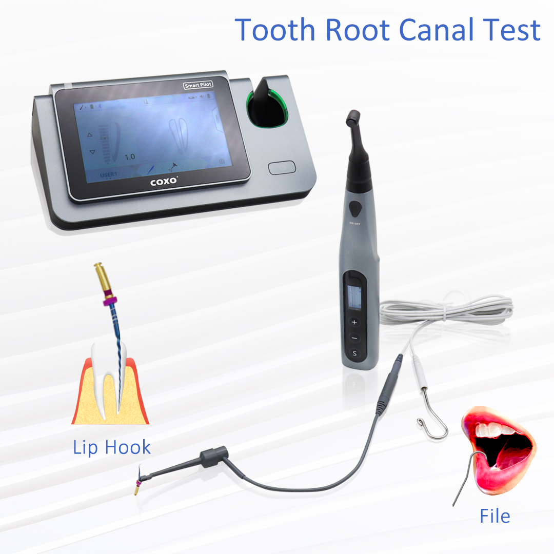 COXO スマートエンドモーター C-SMART I パイロ - Dental Endo Motor Apex Locator のレビューと価格
